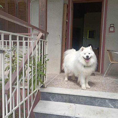Α Lovely Home For A Summer Vacation อัสโปรวาลตา ภายนอก รูปภาพ