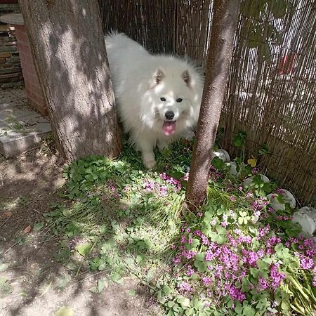 Α Lovely Home For A Summer Vacation อัสโปรวาลตา ภายนอก รูปภาพ