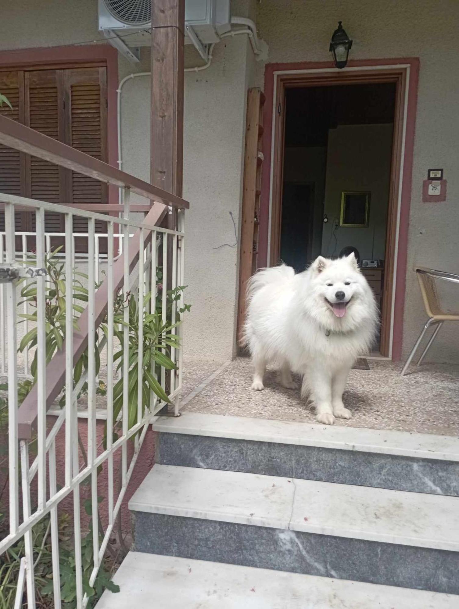 Α Lovely Home For A Summer Vacation อัสโปรวาลตา ภายนอก รูปภาพ